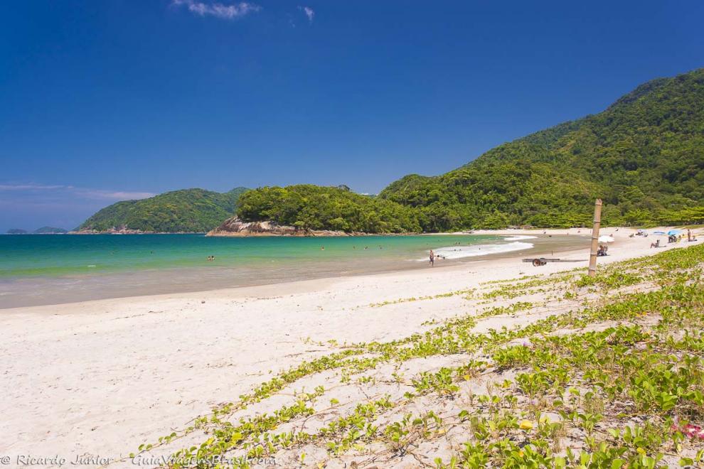 Imagem do mar azulado e esverdeado da Praia de Camburi em Ubatuba.